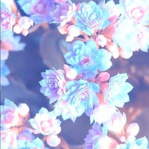 Meet your Posher, Guadalupe